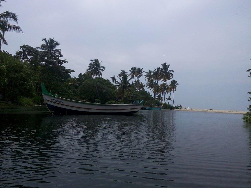 Marari Secret Beach Yoga Homestay Mararikulam Kültér fotó
