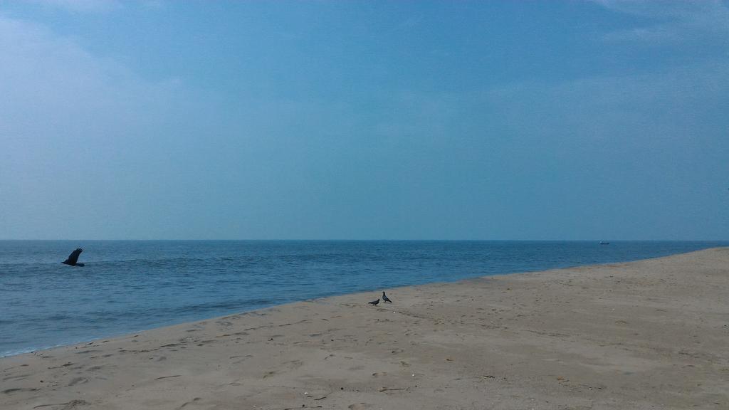 Marari Secret Beach Yoga Homestay Mararikulam Kültér fotó